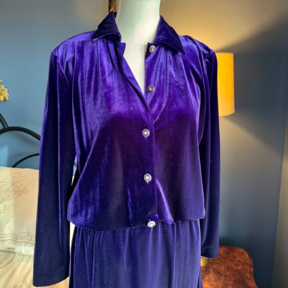 Royal Purple Velvet Long Sleeved Shirt and Maxi Skirt Set - Picture 2 of 16